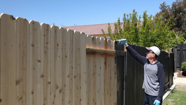 Wooden Fence and man