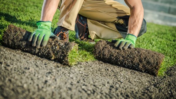 turfing and gardening