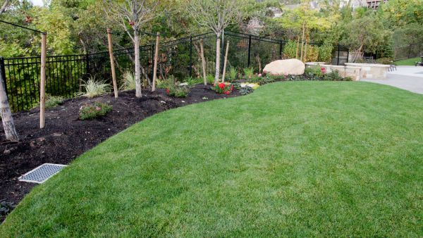 lawn care