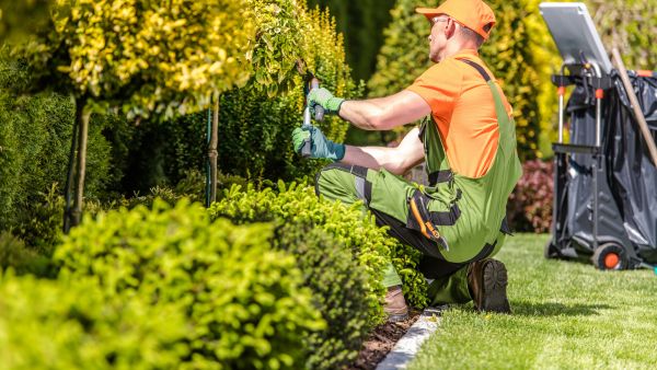 maintaining and gardening