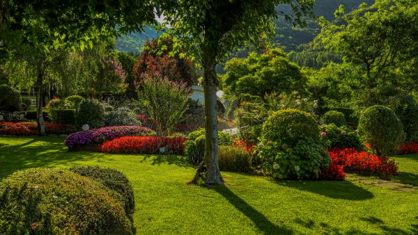 landscaping gardens