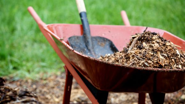 landscaping activites - shovel and wheelbarrow