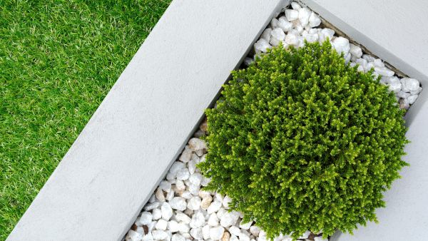 landscaping activites - bush