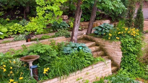 walls and steps image