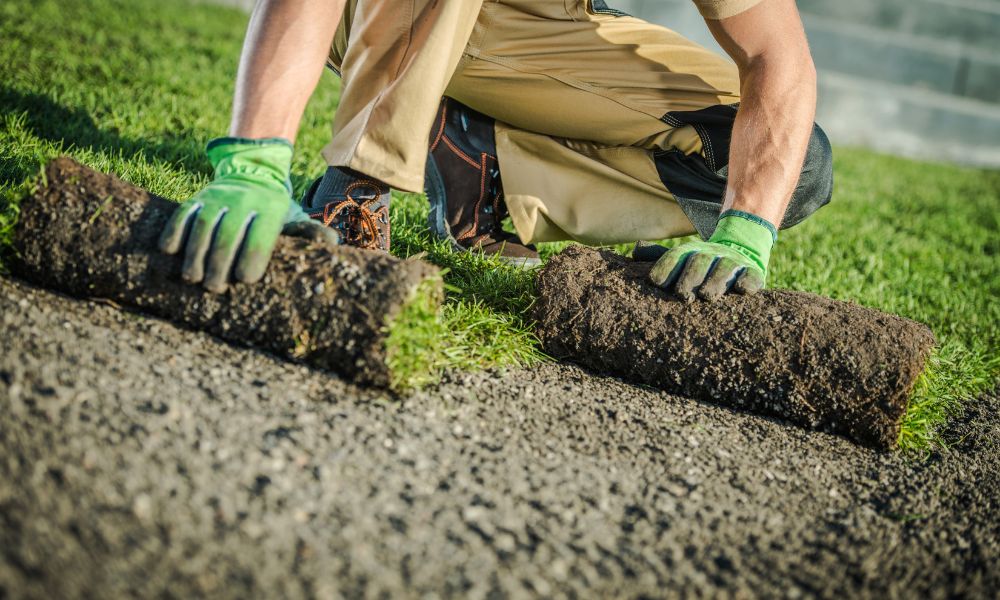 Garden transformation by All Aspects Driveways and Landscapes